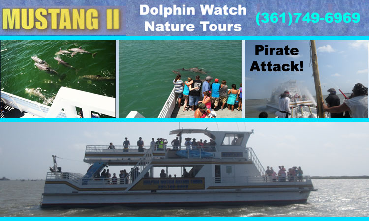 Mustang Dolphin Nature Tour Shrimp Trawl & Pirate Attack in Port Aransas, Texas.