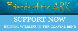 Friends Of The Ark - Helping wildlife in the coastal bend.